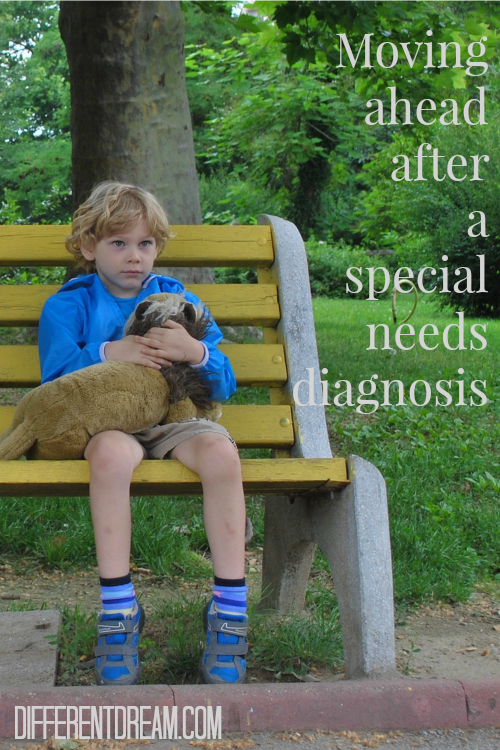 Receiving a child's special needs diagnosis can send parents reeling. Here's what guest blogger Amy Stout wishes she'd known when at the time of diagnosis.