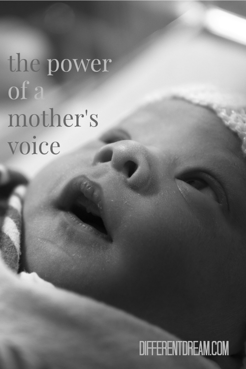 One important aspect of NICU survival for babies is hearing a mother's voice as this story shows.