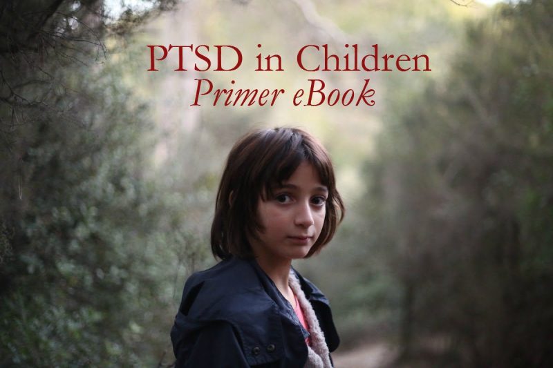 PTSD in Children Primer: What Is It, What Causes It, What’s It Look Like, and What to Do about It Kindle Edition