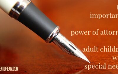 Special Needs Power of Attorney & Medical Authorizations