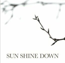 Special Needs Memoir: Sun Shine Down