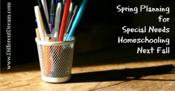 Plan Now for Next Year’s Special Needs Homeschooling