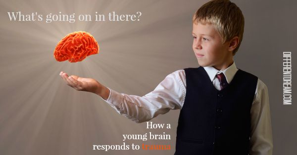 A Look Inside: The Brain’s Response to Childhood Trauma