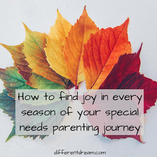 Do you wonder how to find joy in every season of special needs parenting? Guest blogger Jenn Soehnlin shares practical ideas and encouragement in this post.