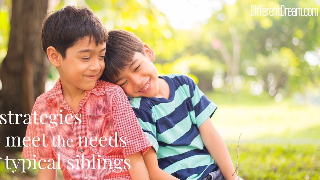 Strategies to Meet the Needs of Typical Siblings