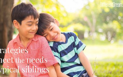 Strategies to Meet the Needs of Typical Siblings