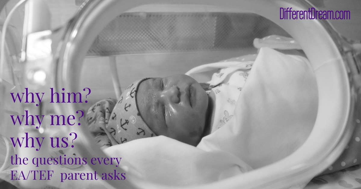 the questions every EA_TEF parent asks The questions every EA/TEF parent asks after diagnosis are the same. Today's guest blogger eventually learned to ask a different question.