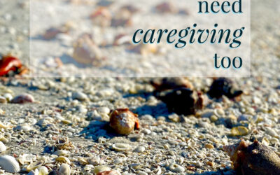 The Importance of Self-Care for Caregivers, Part 2