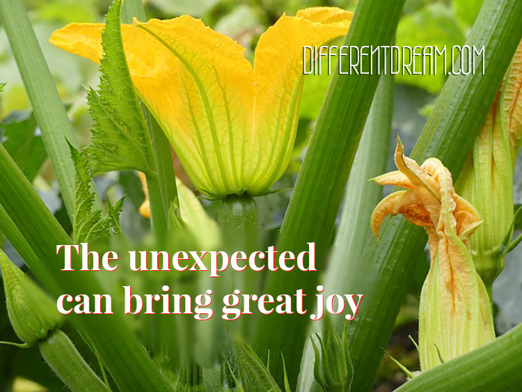 Finding Joy in the Garden of Disability and Special Needs