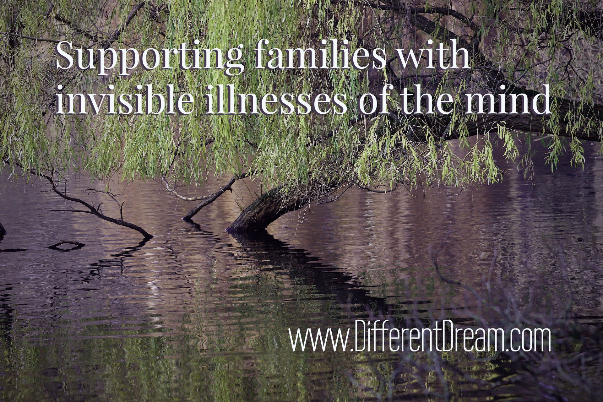 Christians parenting the mentally ill need other believers to support them. Lisa Pelissier introduces a new blog to support such families.