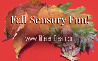 Making an Autumn Sensory Fidget Box
