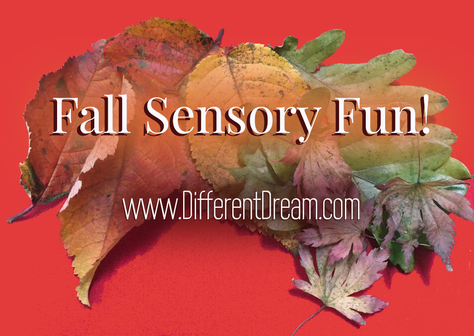 Guest blogger Mark Arnold takes a journey to the magical world of making an autumn sensory box for his son with special needs.