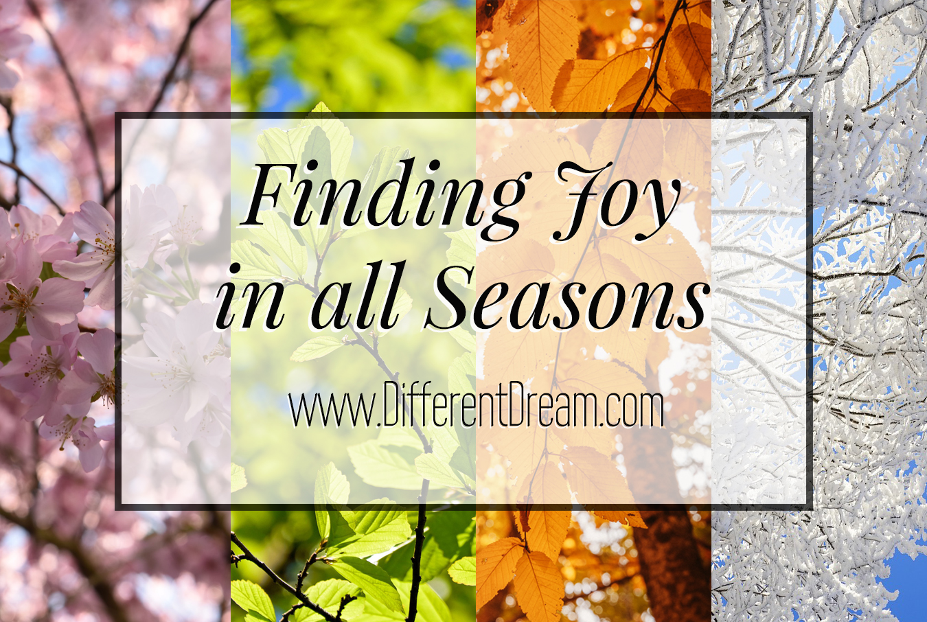 Jolene explains how a recent setback in her health has reminded her that every season has its challenges and joys.