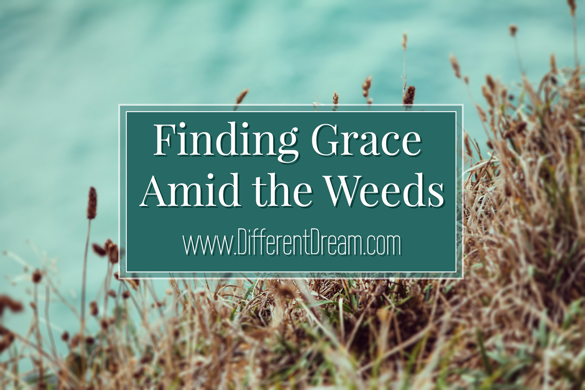 Unexpected Grace Given and Received by Caregiving Parents | Different ...