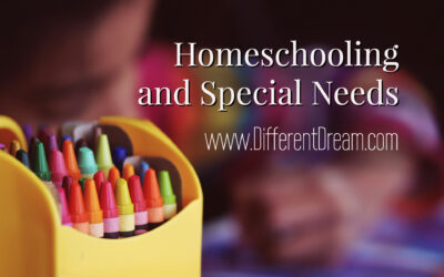 Special Needs Homeschooling: The Ups and Downs