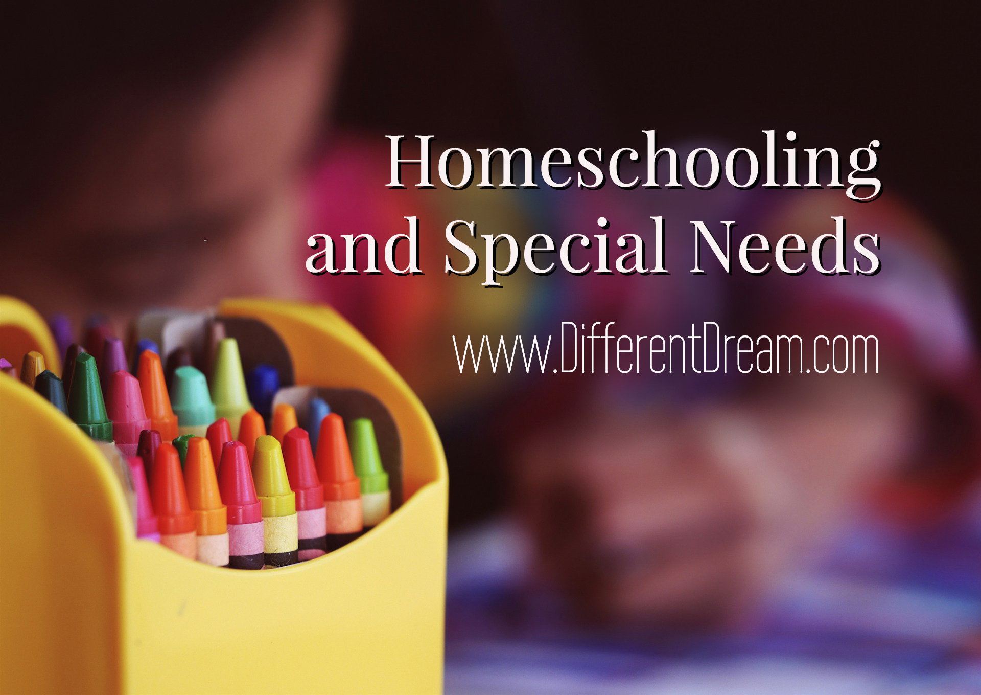 Guest blogger and homeschool mom Lisa Pelissier describes the ups and downs of special needs homeschooling.