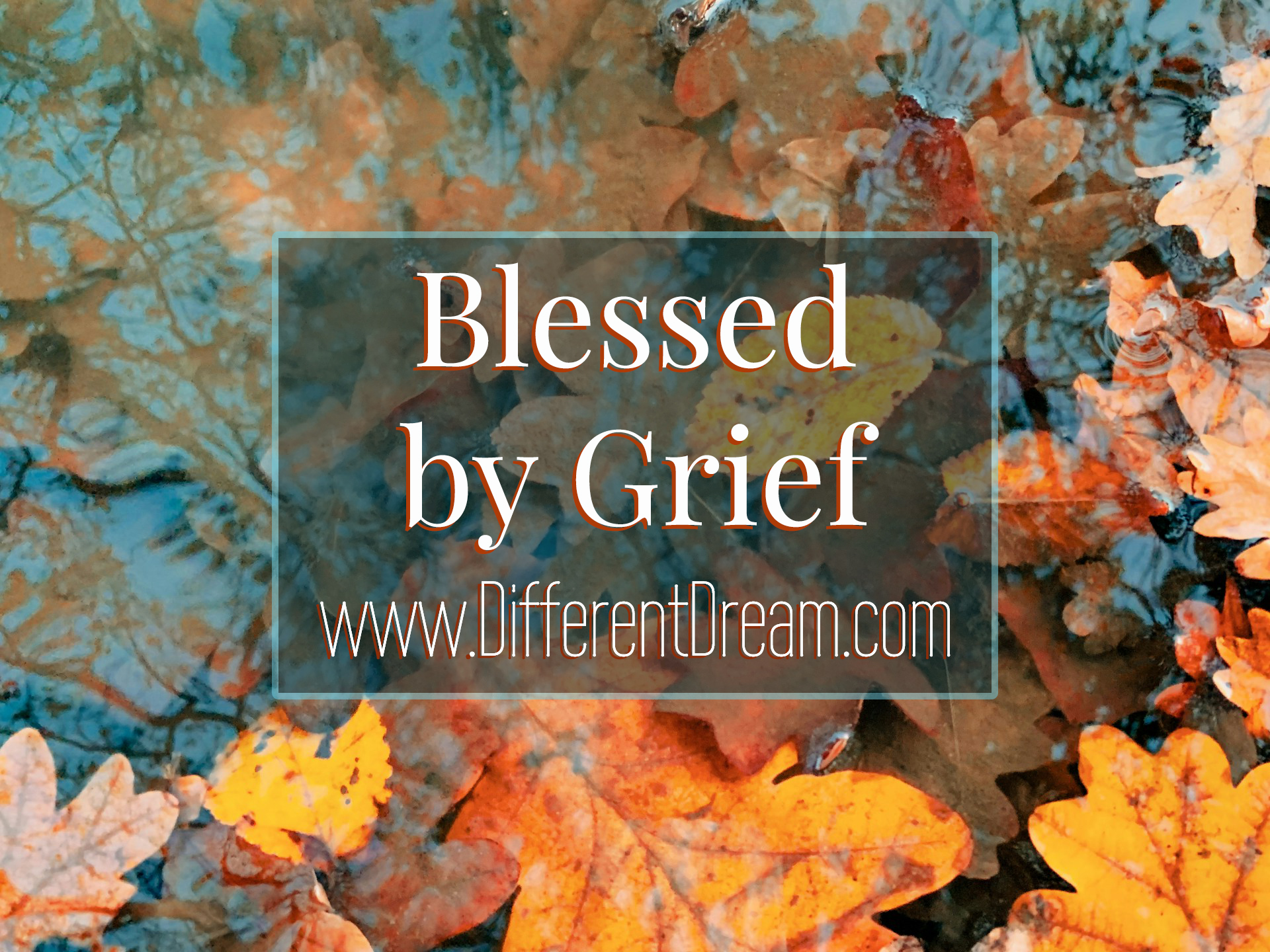 "This Thanksgiving, I'm grateful for grief" is not something you hear a lot. Jolene explains why this is her heart this Thanksgiving.